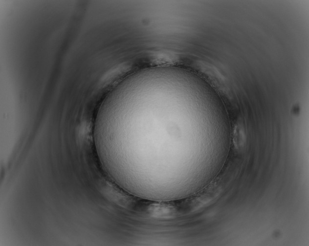 X0000101210714200807071339