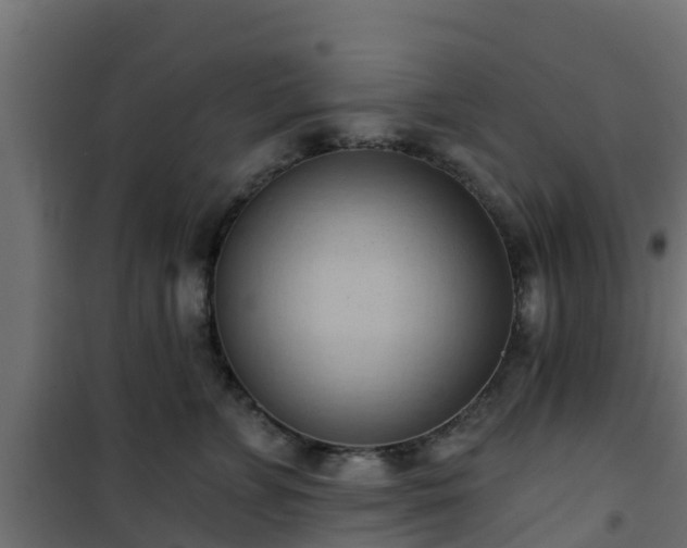 X0000101210715200807071339