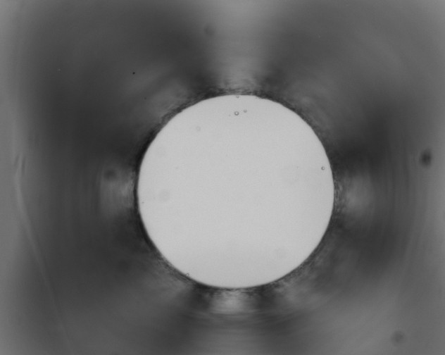 X0000101210717200807071339