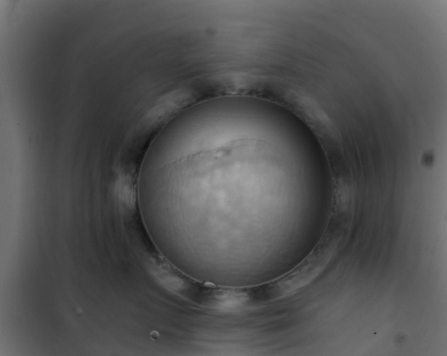 X0000101210719200807071339