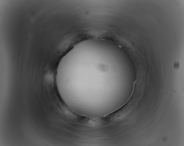 X0000101210720200807071339