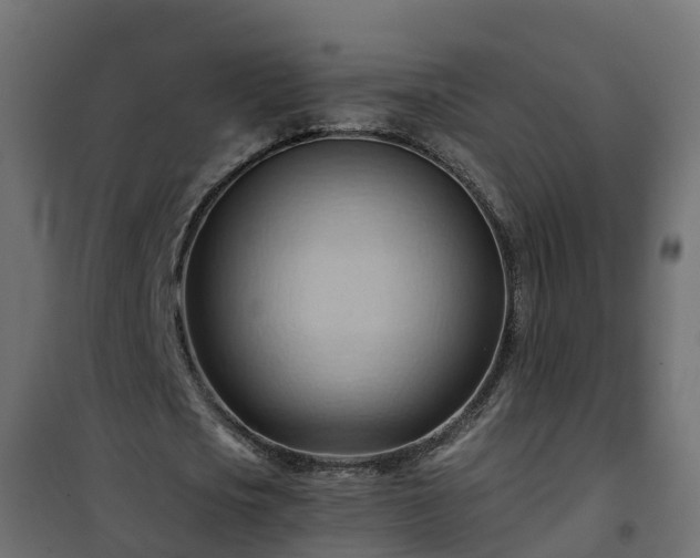 X0000101210721200807071338