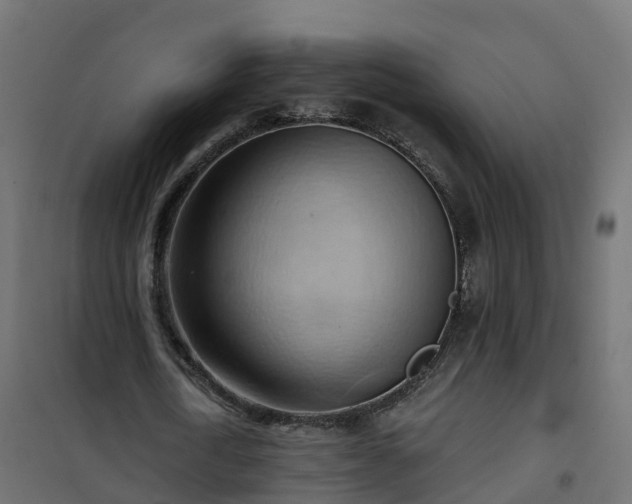 X0000101210722200807071338