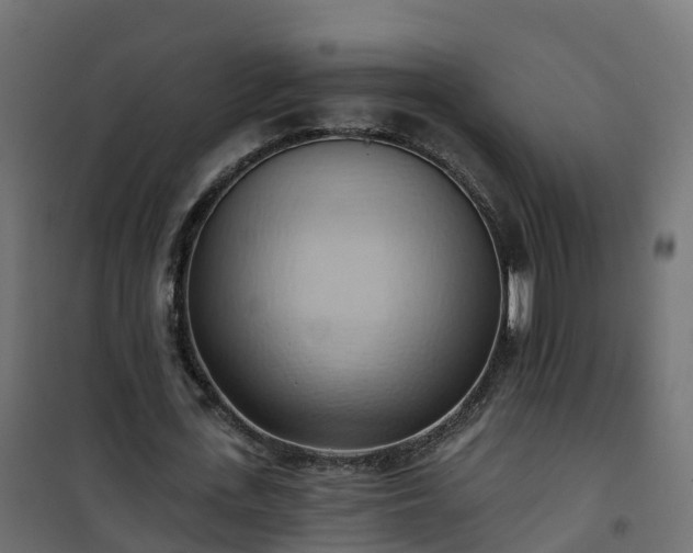 X0000101210723200807071338