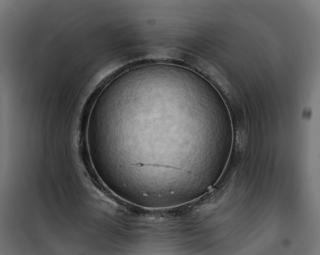 X0000101210724200807071338