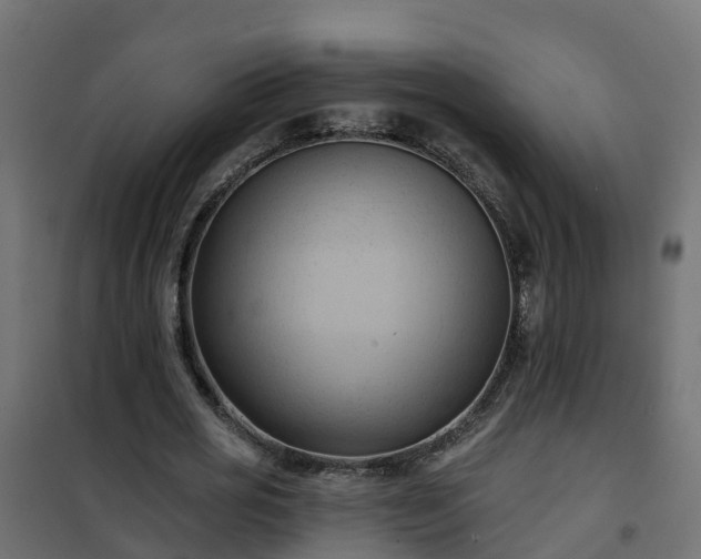 X0000101210725200807071338