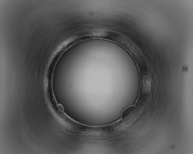 X0000101210726200807071338