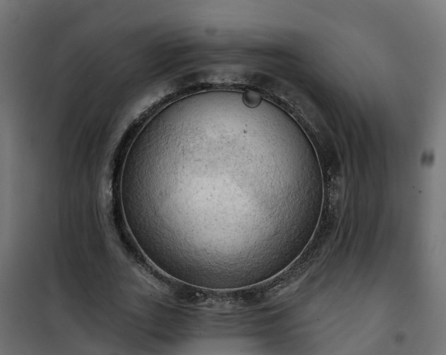 X0000101210727200807071338