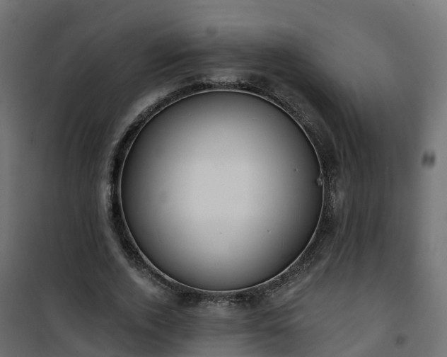 X0000101210728200807071338