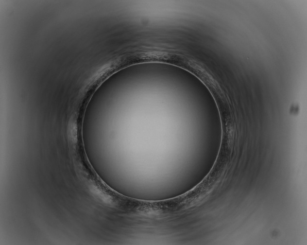 X0000101210729200807071338