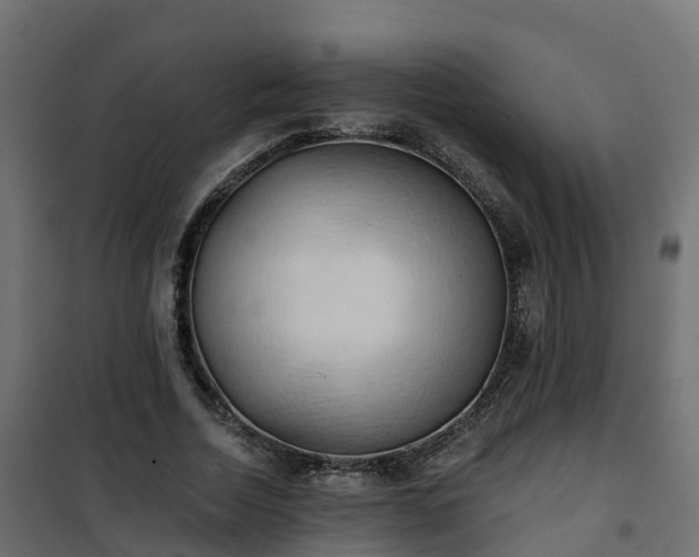 X0000101210730200807071338