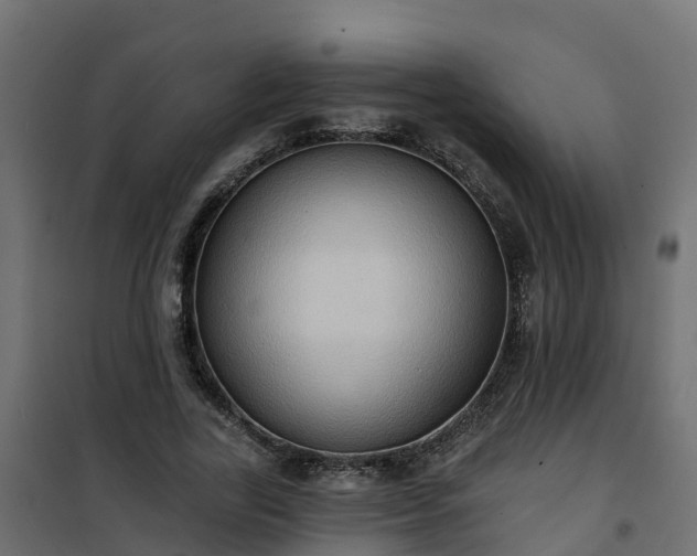 X0000101210731200807071338