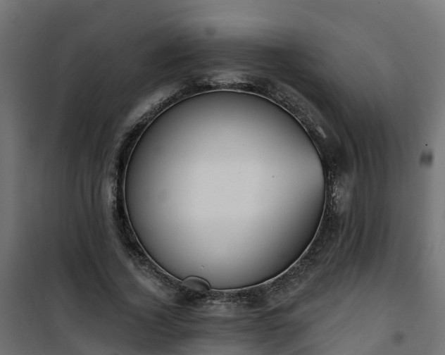 X0000101210732200807071338