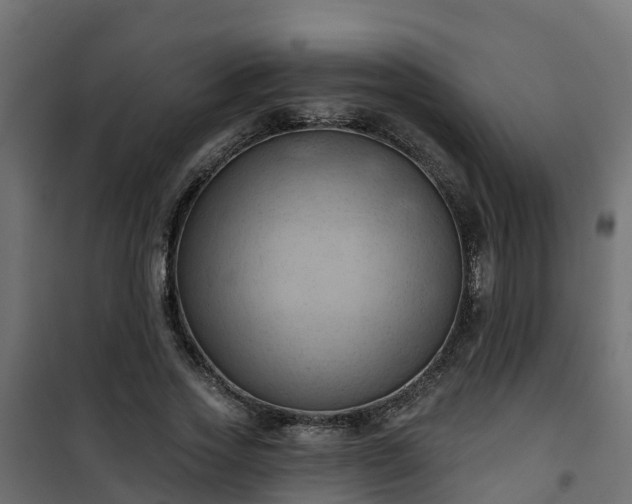 X0000101210733200807071338