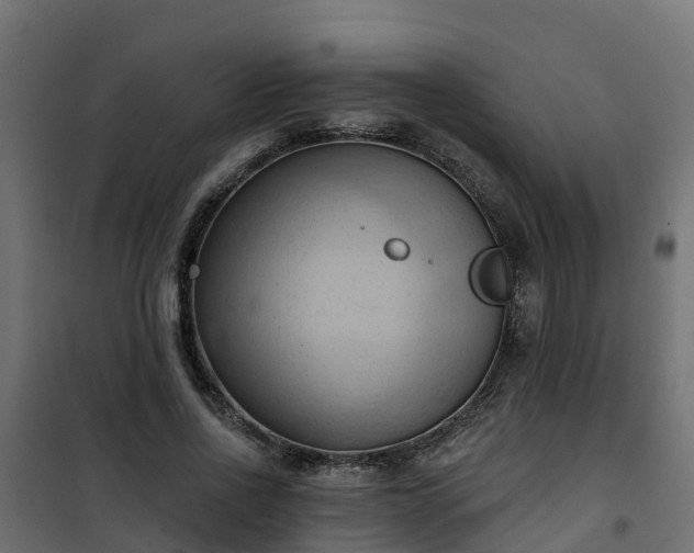 X0000101210734200807071338