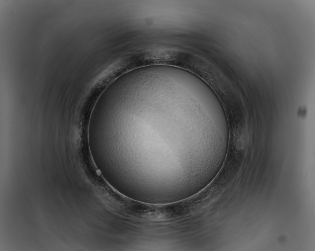 X0000101210735200807071338