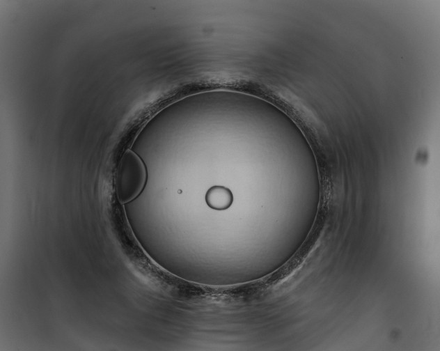 X0000101210736200807071338