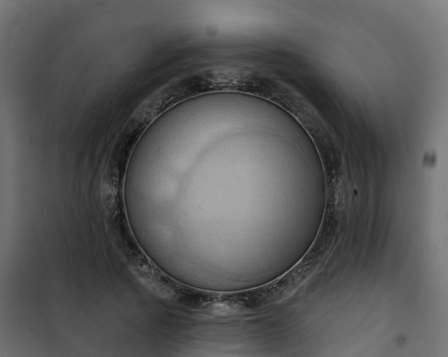 X0000101210737200807071338