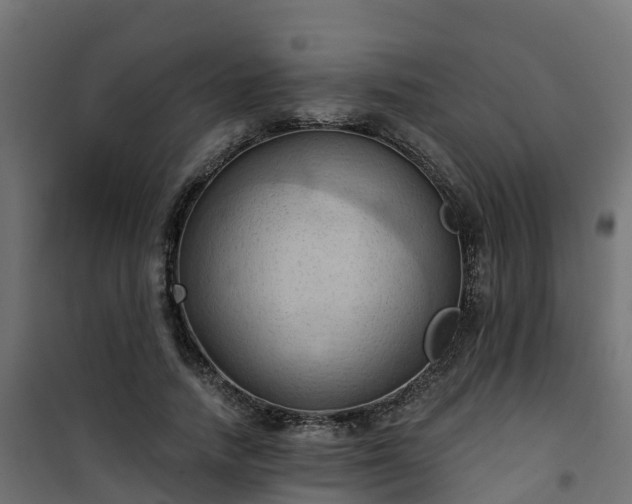 X0000101210738200807071338