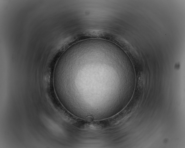 X0000101210739200807071338