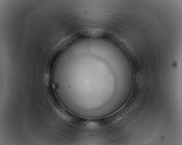 X0000101210741200807071338