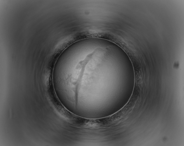 X0000101210742200807071338