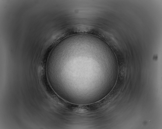 X0000101210743200807071338