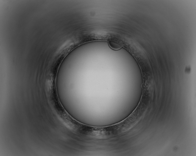 X0000101210744200807071338