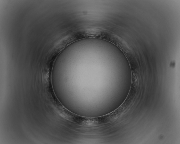 X0000101210745200807071338