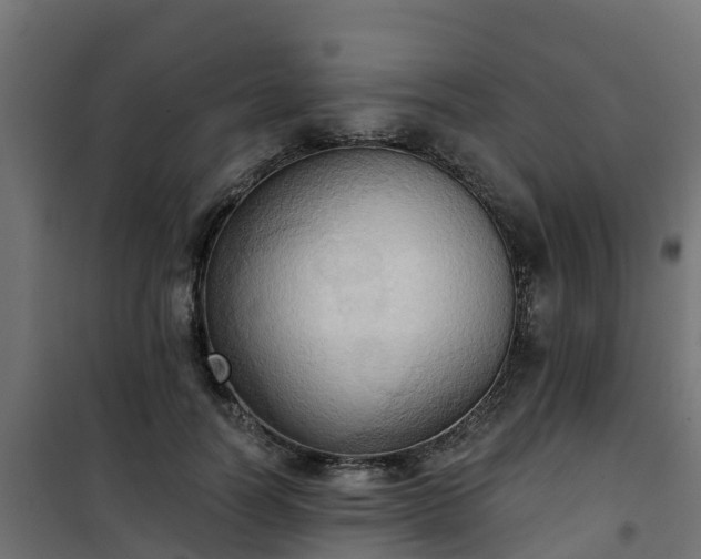 X0000101210746200807071338