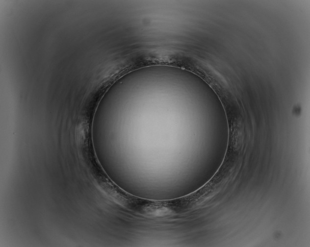 X0000101210747200807071338