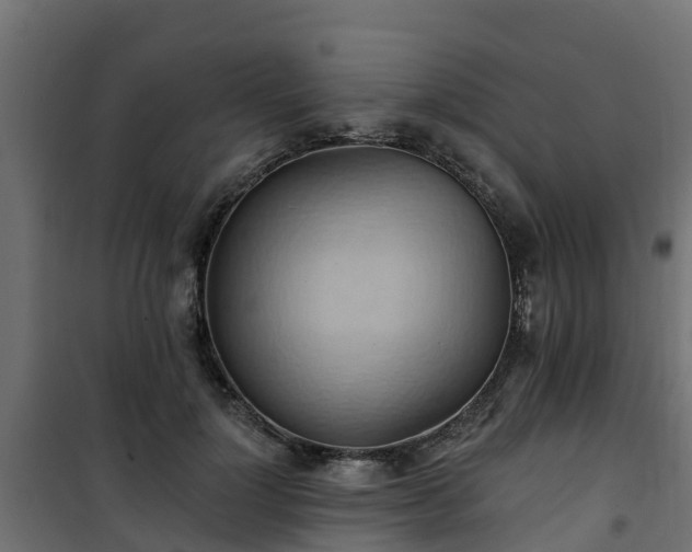 X0000101210748200807071338