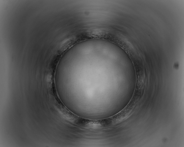 X0000101210749200807071338