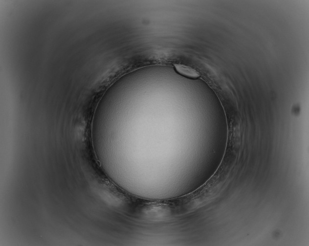 X0000101210750200807071338