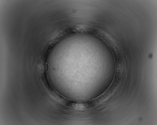 X0000101210751200807071338