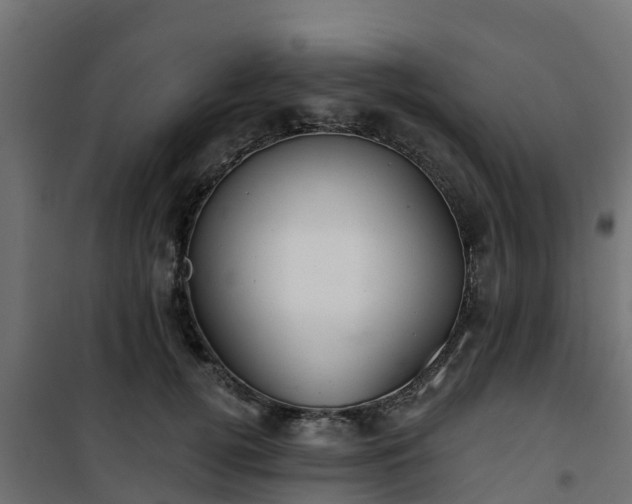 X0000101210752200807071338