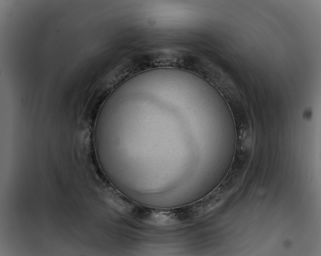 X0000101210753200807071338