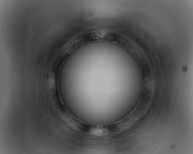 X0000101210754200807071338