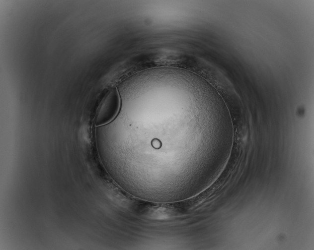 X0000101210755200807071338