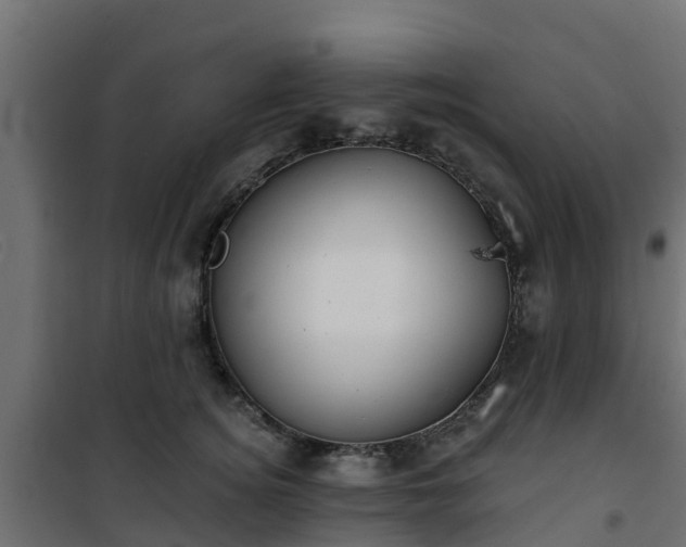 X0000101210756200807071338