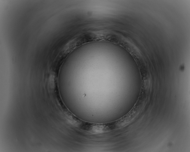 X0000101210757200807071338