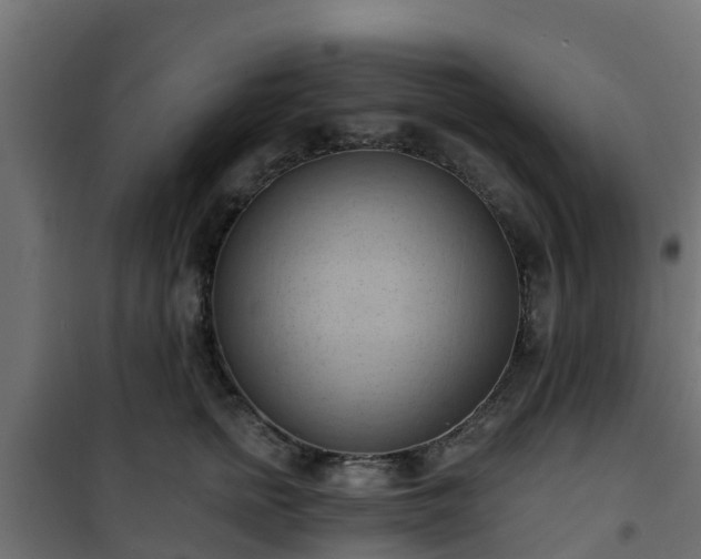 X0000101210758200807071338