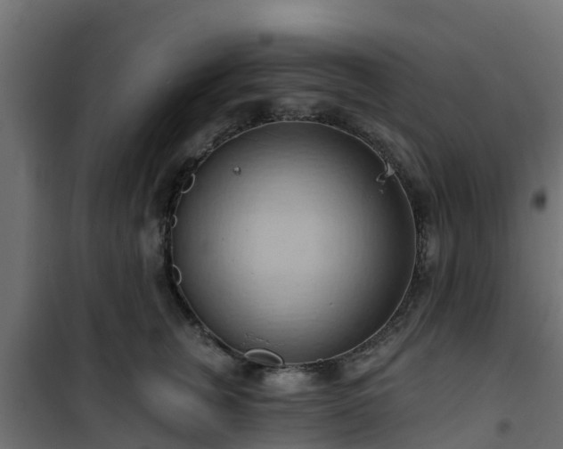 X0000101210759200807071338