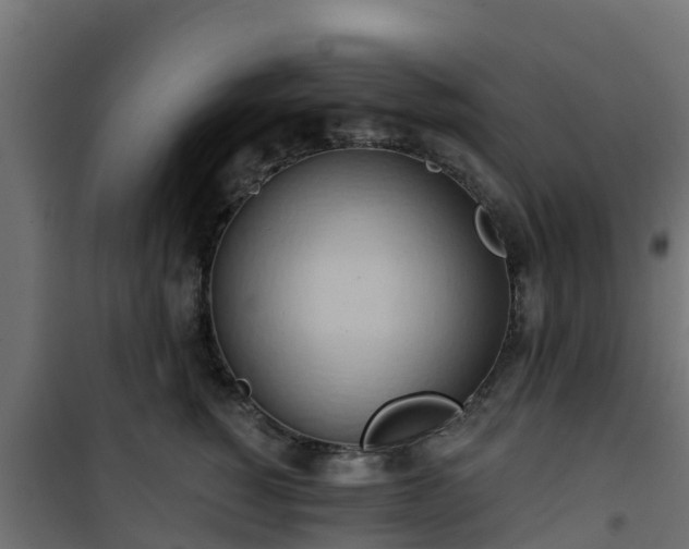 X0000101210760200807071338