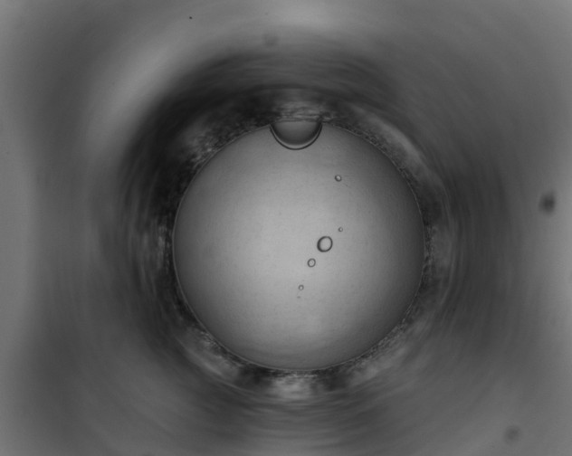 X0000101210761200807071338