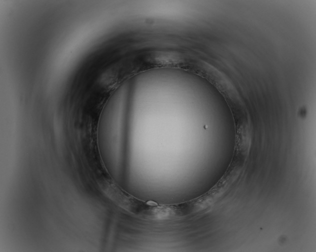 X0000101210762200807071338