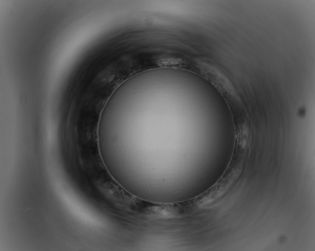 X0000101210763200807071338