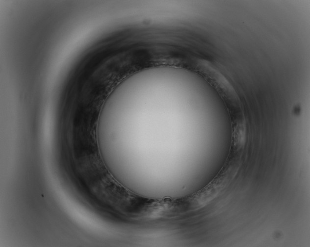 X0000101210764200807071339