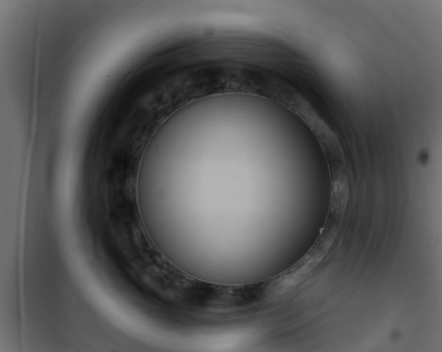 X0000101210765200807071339