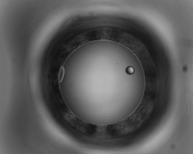 X0000101210766200807071339